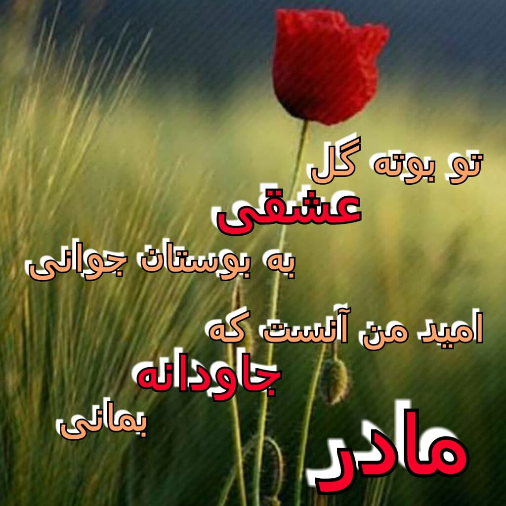 تقدیم به تمام مادران خوب و دوست داشتنی