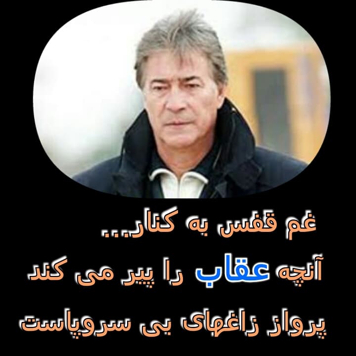 دلنوشته زیبا، زنده یاد ناصر حجازی
