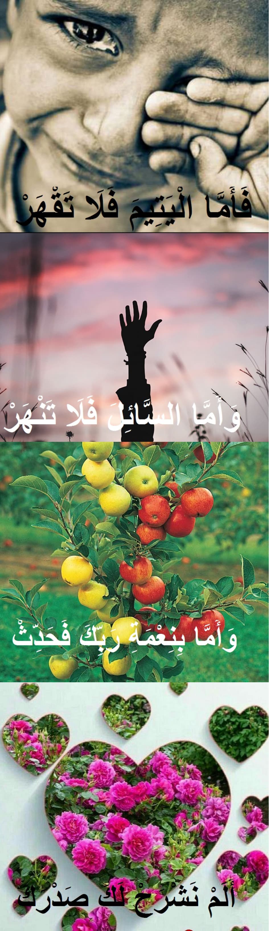 فرازی زیبا از تلاوت قرآن