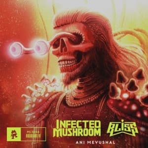 دانلود آهنگ سایکو از Infected Mushroom با نام Ani Mevushal