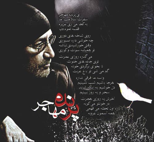 پرنده مهاجر