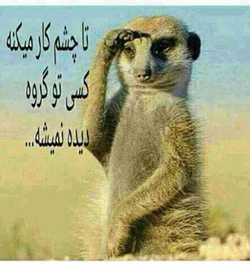 تلگرام