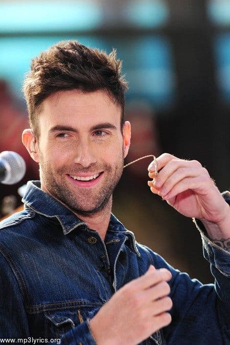 دانلود آهنگ زیبای Maroon 5 - Memories