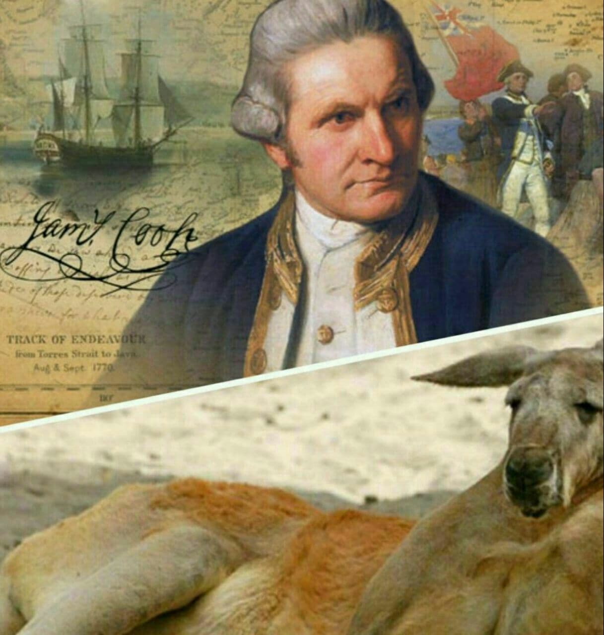 جیمز کوک کاشف استرالیا درسال 1779 از بومیان نام حیوانی عجیبی را پرسید آنها گفتند "کانگورو" بعدها مشخص شد که کانگورو به زبان بومیان استرالیایی یعنی "نمیفهمم چه میگویی..."!   ? 