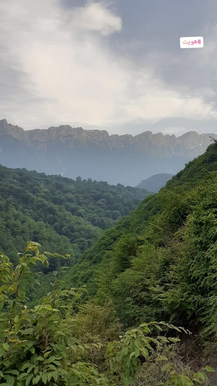 اگه یک روز خودتو تو خیابون ببینی چی بهش میگی؟!؟!