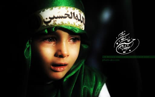 یک شب دلی به مسلخ خونم کشید و رفت
