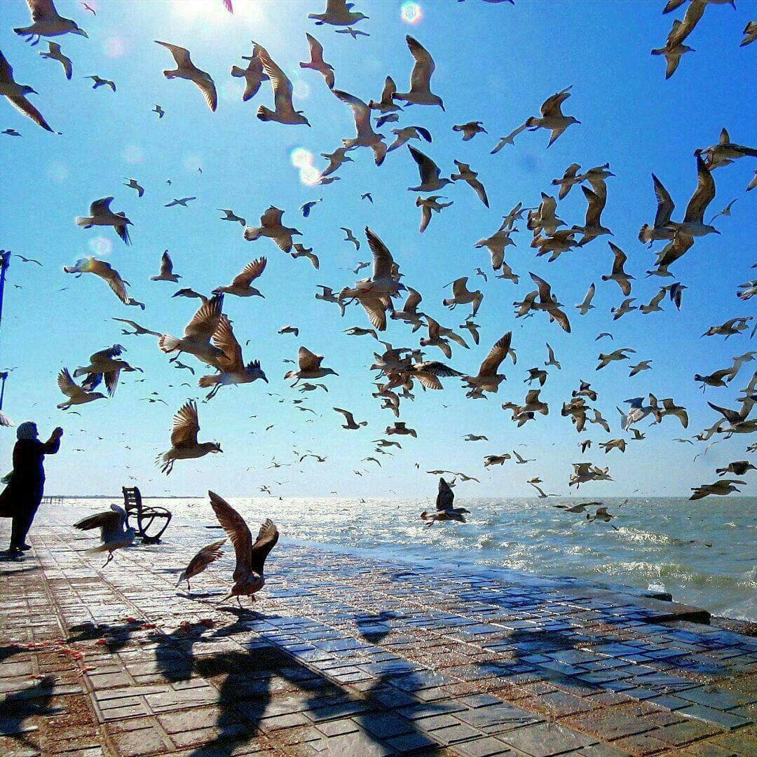 خدایا توی دنیای بزرگت پوسیدیم 