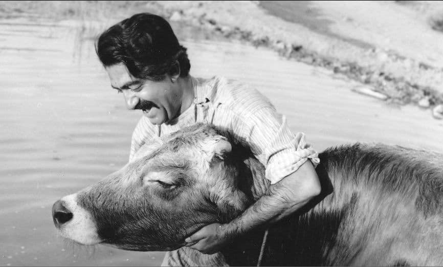 بهترین فیلم های تاریخ سینمای ایران به انتخاب Taste Of Cinema