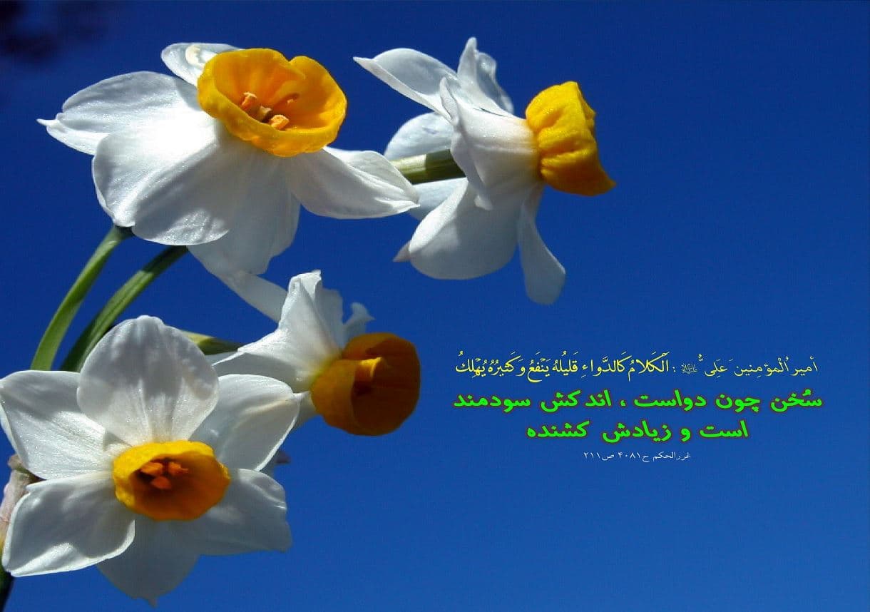 شعری که چندماه پیش برای امیرالمومنین علی علیه السلام سروده بودم و مناسبتش امروزه...