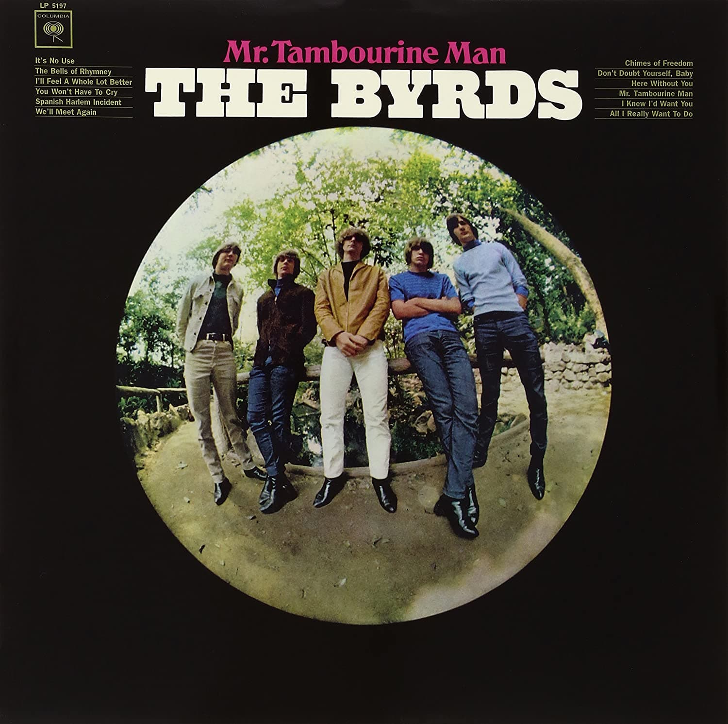 دانلود آهنگ The Byrds - Mr. Tambourine Man