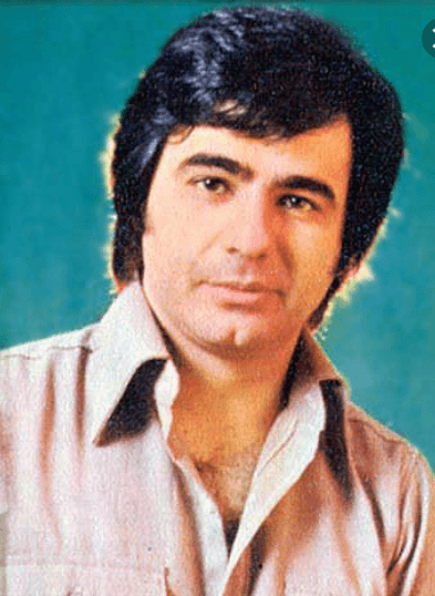 آهنگ قدیمی شریک پرواز عارف
