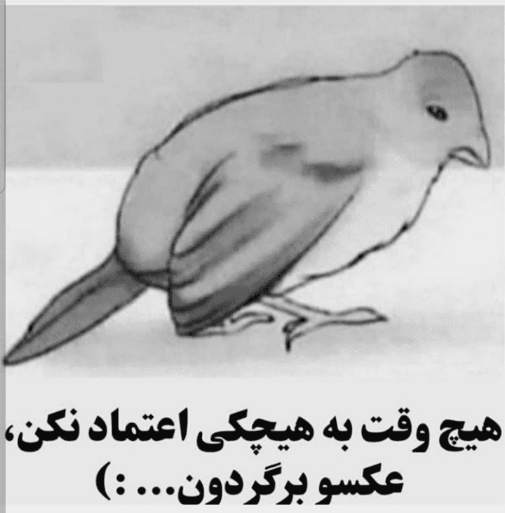Trust me