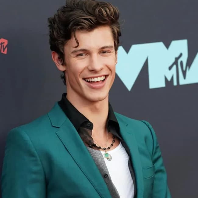 دانلود آهنگ mercy از SHAWN MENDES 