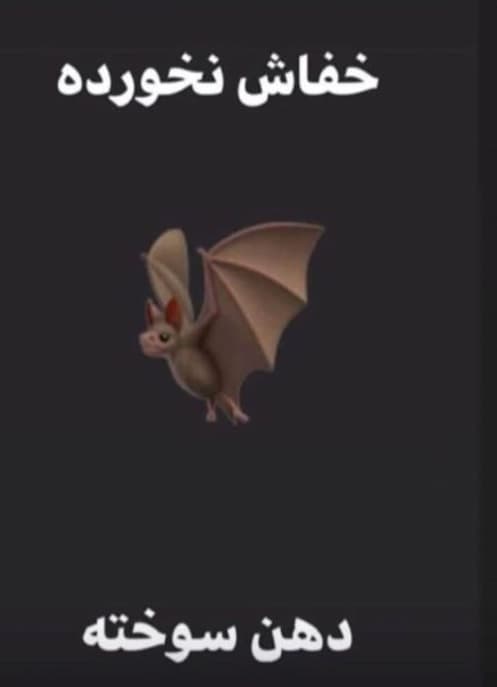 ضرب المثل جدید اومد