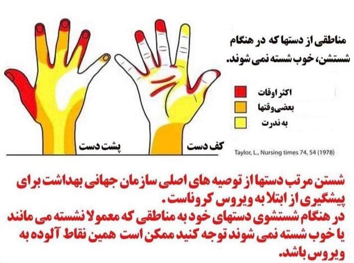 نکته مهم در شستن دست ها 