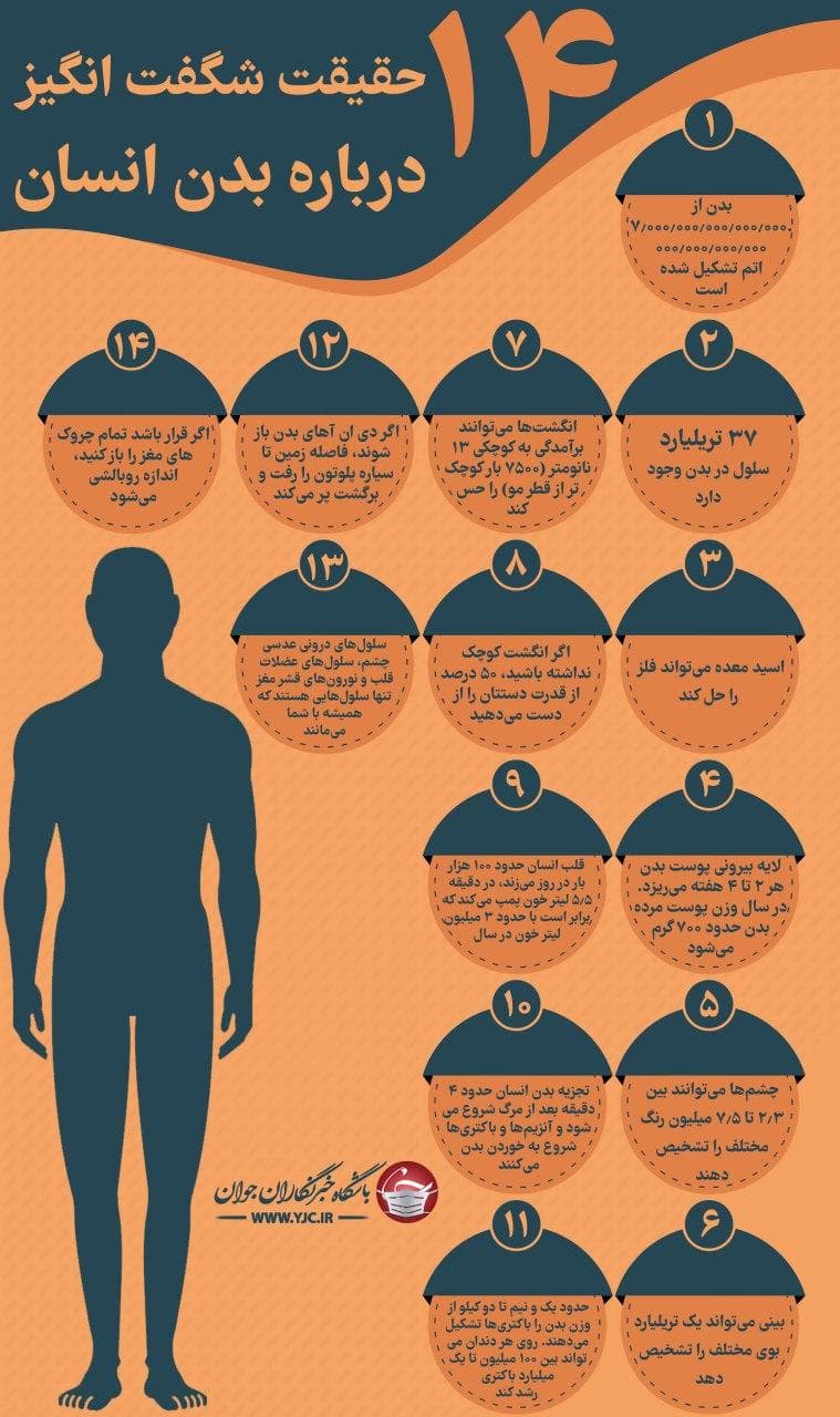 ۱۴ حقیقت شگفت انگیز درباره بدن انسان
