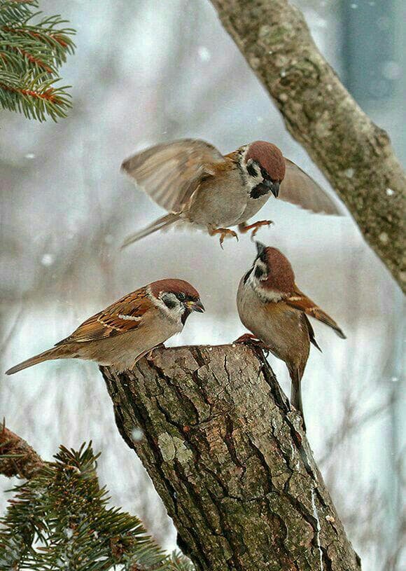 آهنگ زیبای No Harm از گروه Editors 