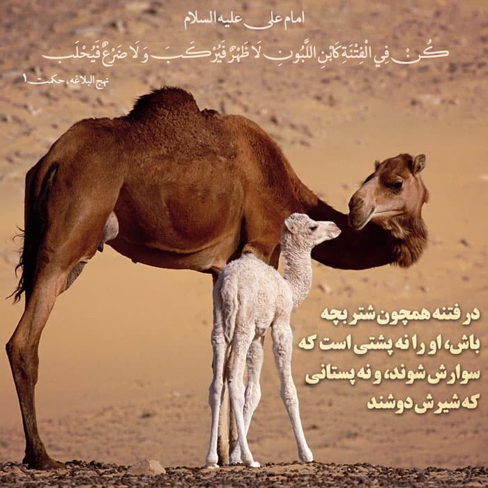 ??در مکتب امیر المومنین(ع) بخش ششم??