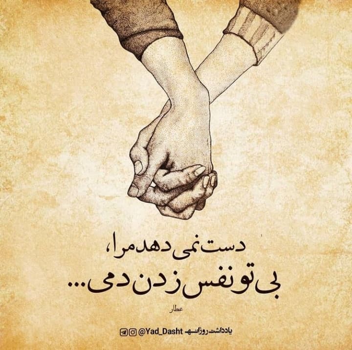 هر کسی لاف زند