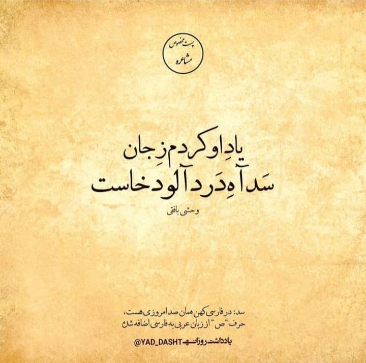 دوش در مجلس