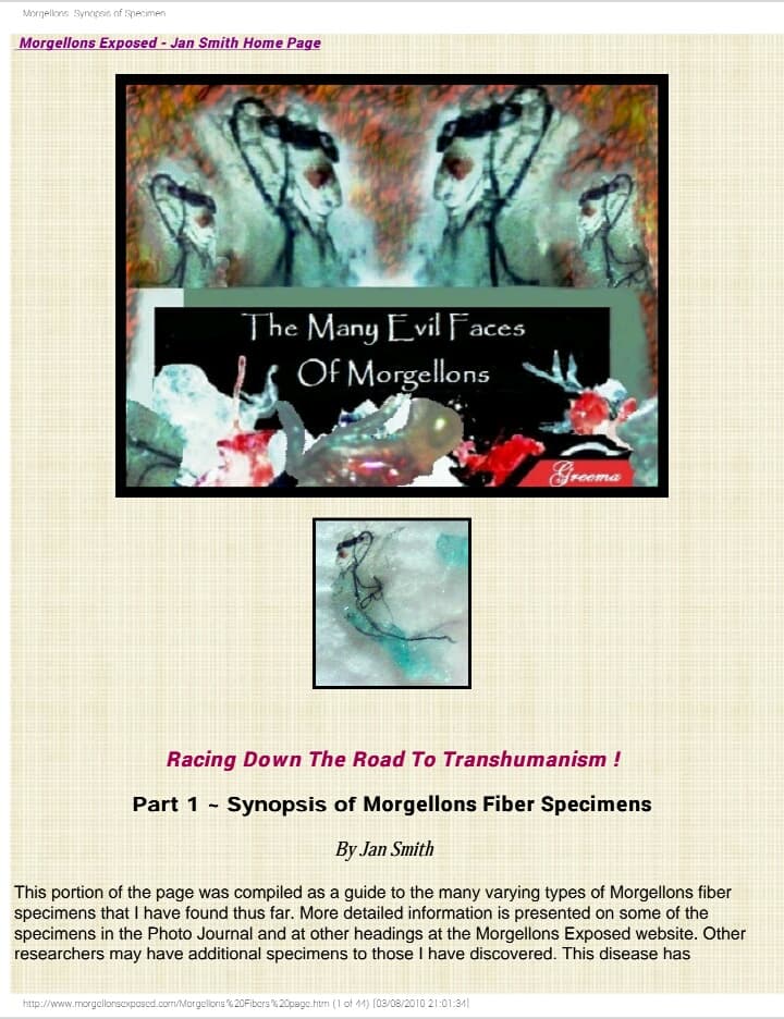 دانلود pdf تصاویر و چهره های گوناگون مورجلون ها evilfaces morgellons