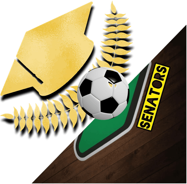 ? ⚽نگاهی کوتاه به تمامی آقای گل های رئال مادرید