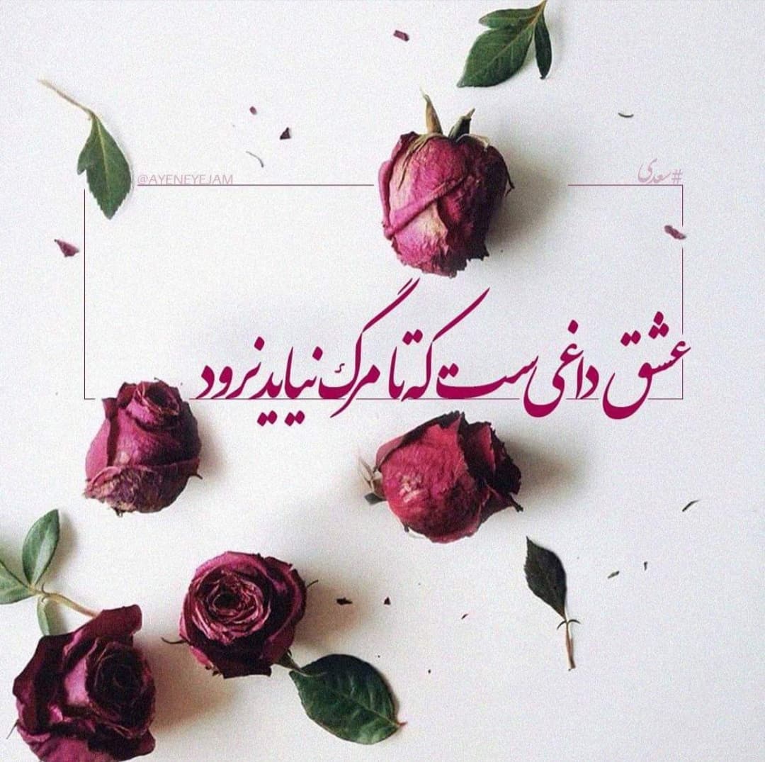 عشق داغیست که تا مرگ نیاید نرود ?