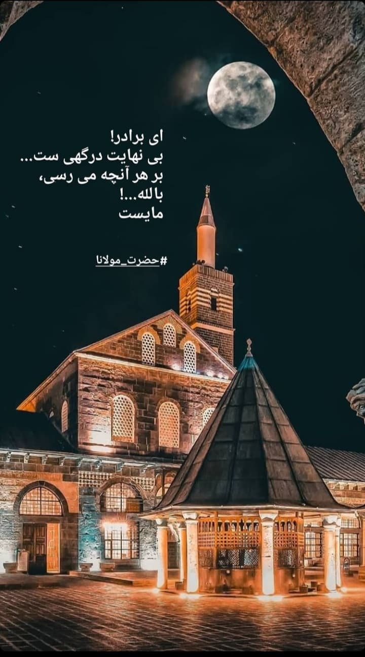 در میان شیر و گاو