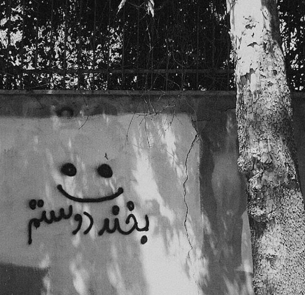 شبانه